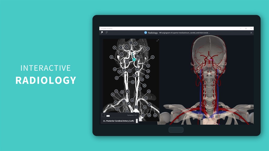 Complete Anatomy 2024_7
