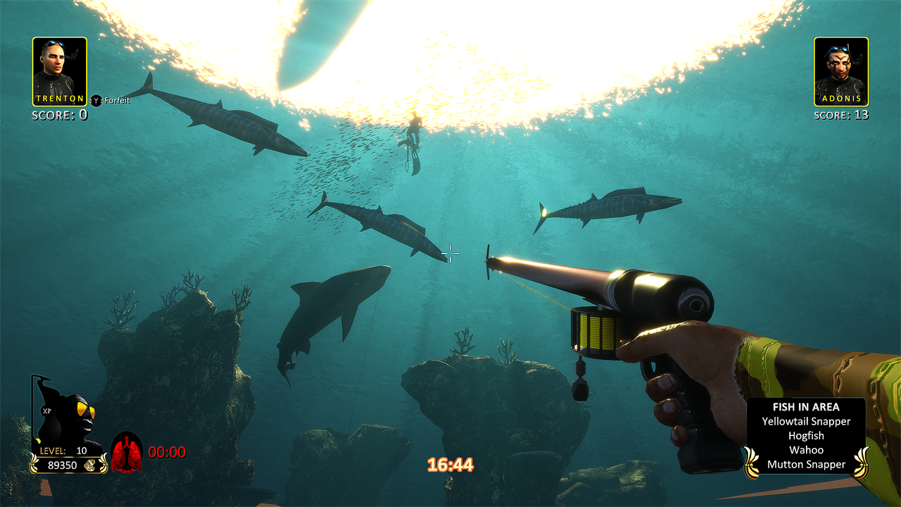 Freediving Hunter: Spearfishing the World screenshot 1