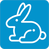 Rabbit Test