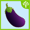 Kids Learn Veggies