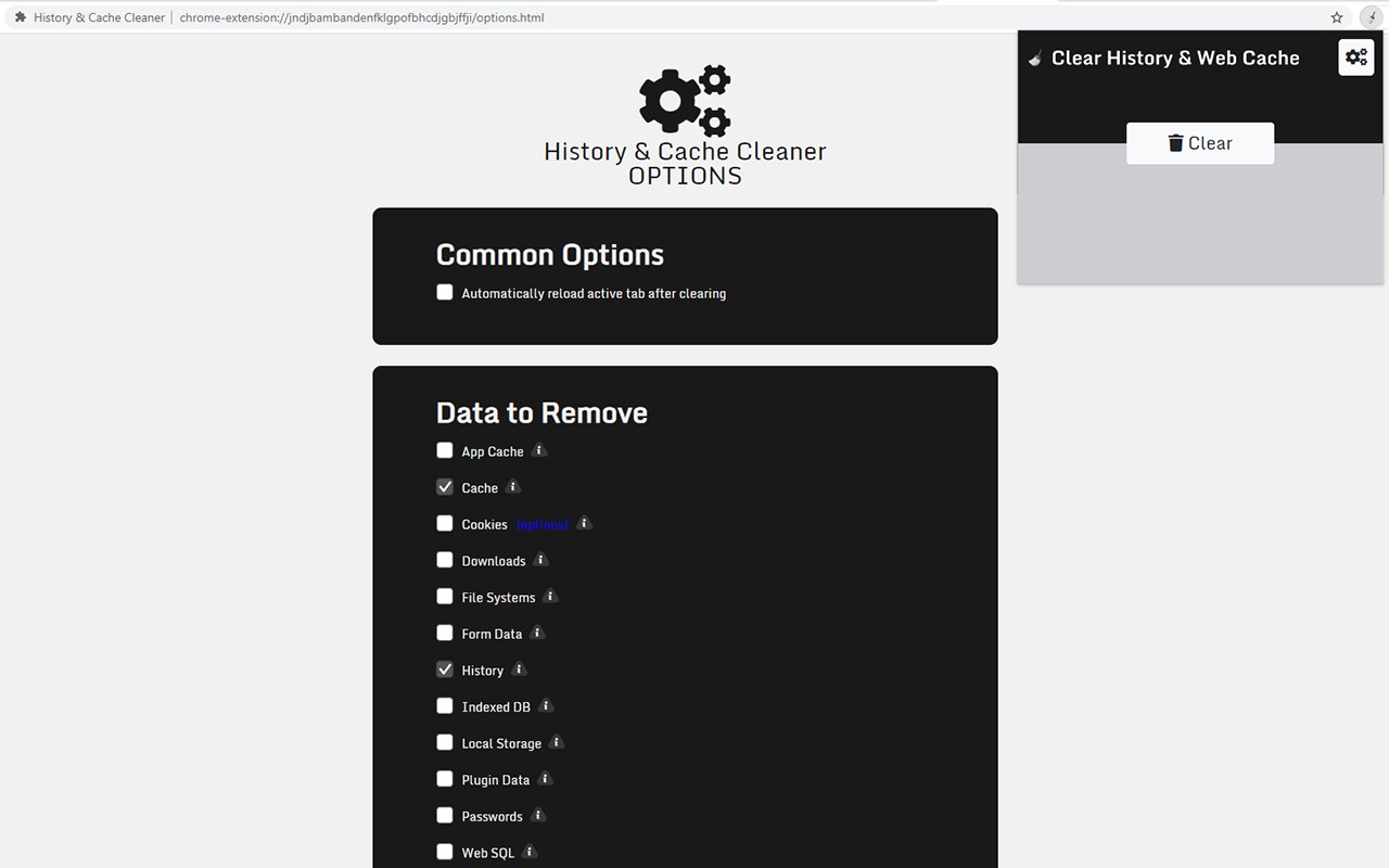 Clear History Web Cache Microsoft Edge Addons