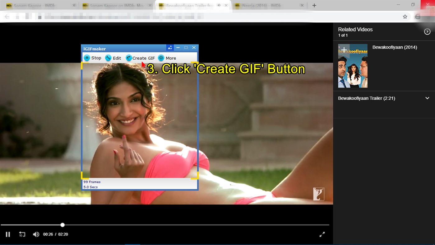 #2. iGIFmaker (Windows) 由: iGIFmaker