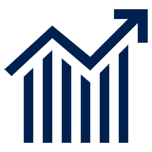 Accountant Portal image