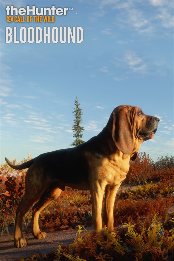theHunter: Call of the Wild - Bloodhound