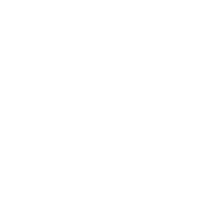 Skat Pro