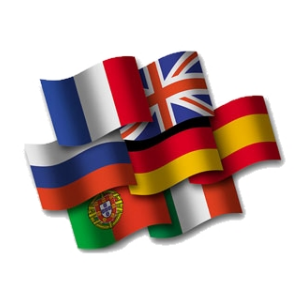 Translator 7