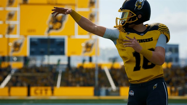 Maximum Football - 1050 Max Stacks screenshot 3