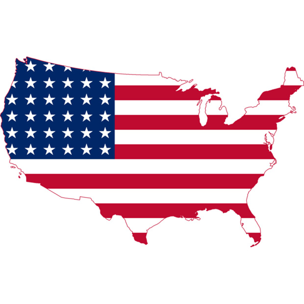 USCIS Case
