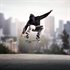Session: Skate Sim