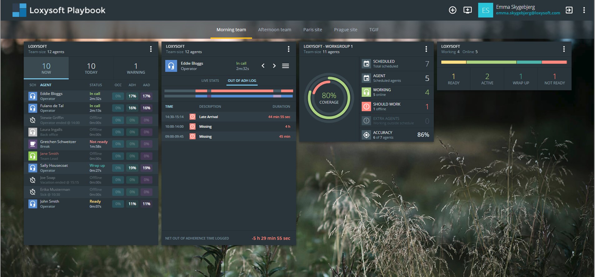 Snapshot 3 of ProScheduler WFM