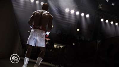 FIGHT NIGHT CHAMPION screenshot 2