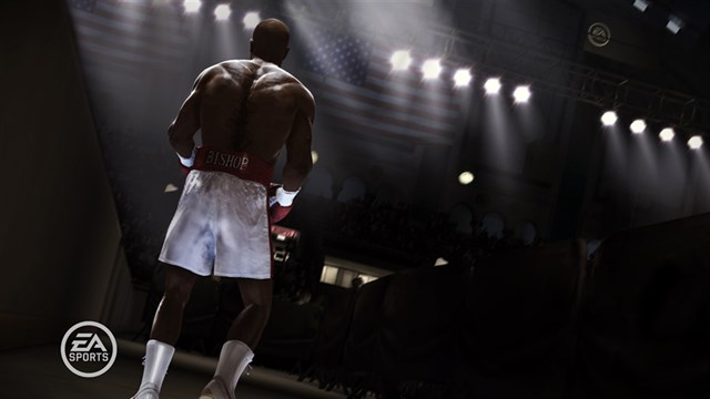 FIGHT NIGHT CHAMPION screenshot 2