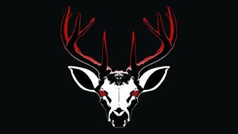 Project 13: Taxidermy