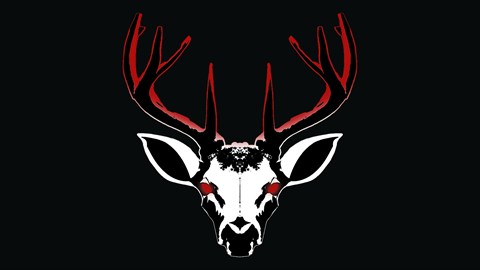 Project 13: Taxidermy