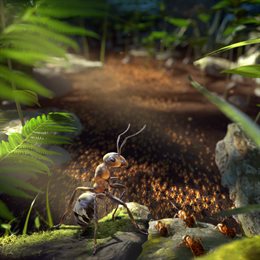 Aperçu Empire of the Ants - Pre-order