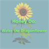Honey Do: Water the Dragonflower