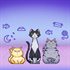 Cat Needs