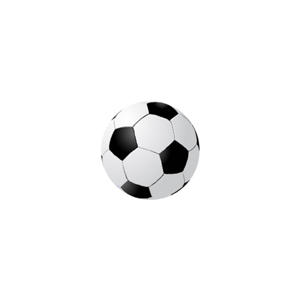 Goal Centre