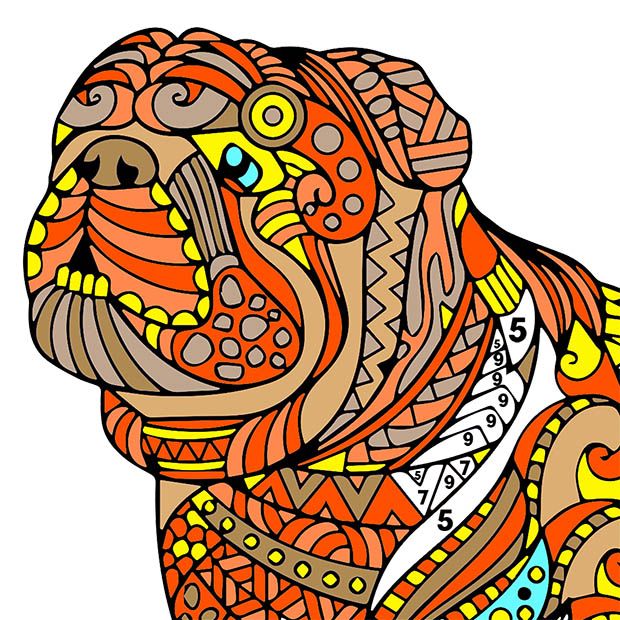 Dogs Color by Number - Adult Coloring Book
