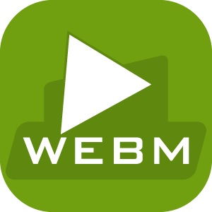 WebM to MP4 - WebM to MP3