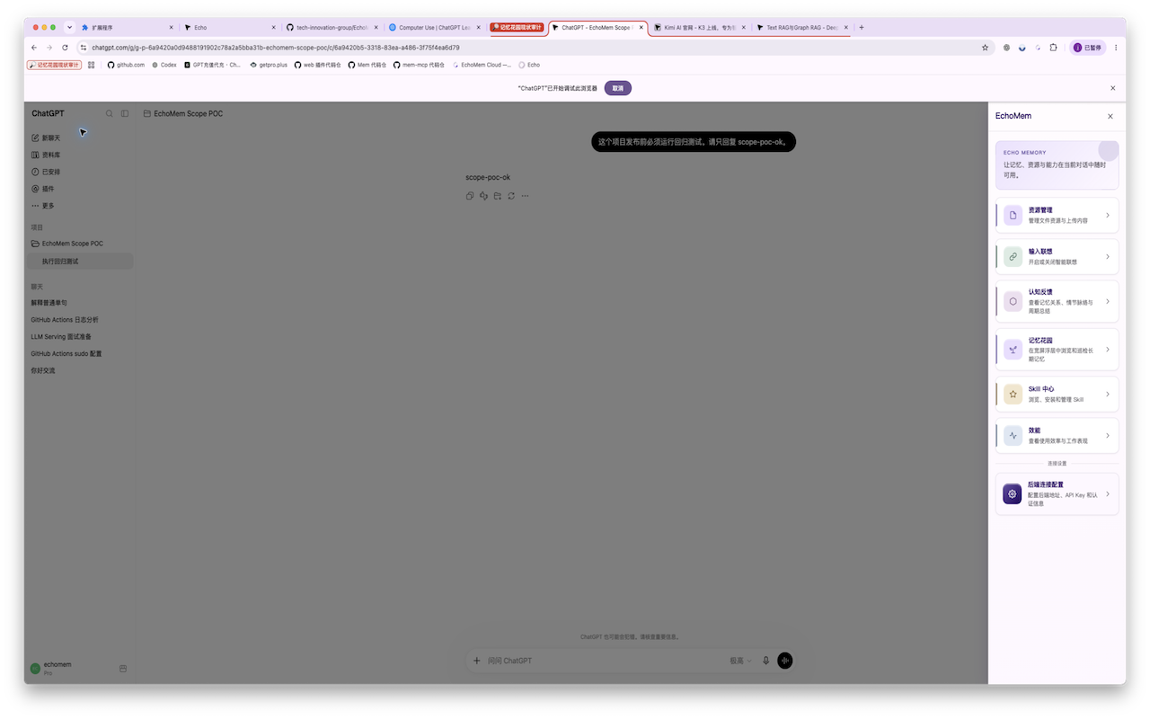 EchoMem Web Extension