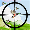 Duck Hunting Real Season