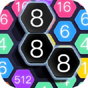 Hexa Puzzle Game