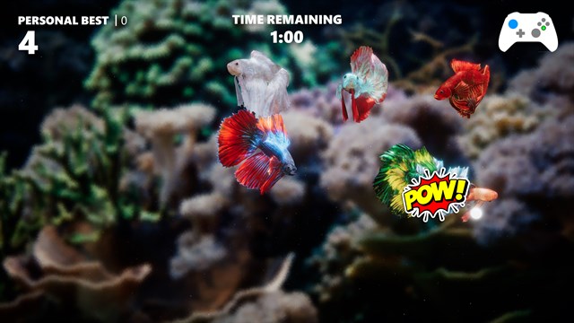 Siamese Fighting Fish screenshot 4