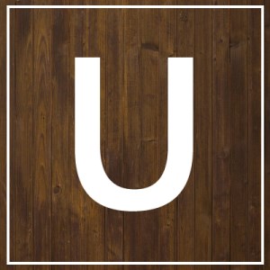Unscramble