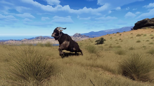 Way of the Hunter - Matariki Park screenshot 4