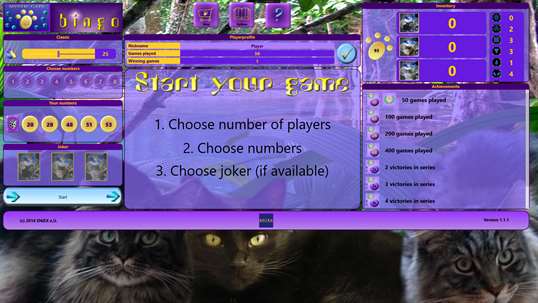 Mystic Cats Bingo screenshot 1