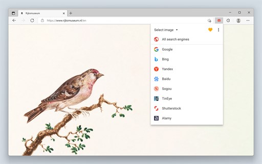 Search by Image: Ultimate Reverse Image Search Tool