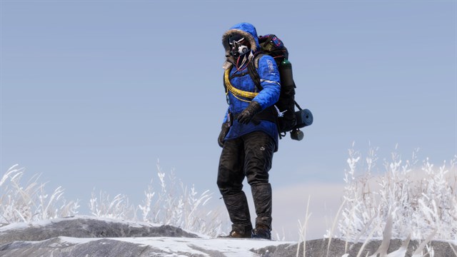 Arctic Pack screenshot 4