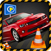 Real Parking Simulation