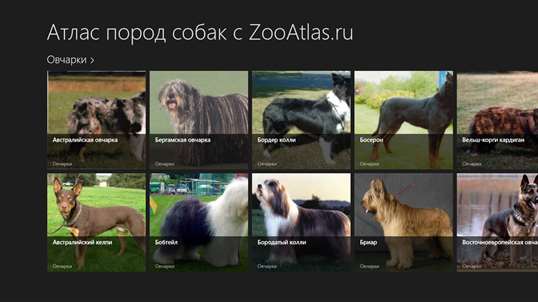 Атлас пород собак screenshot 1