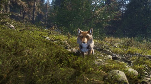 theHunter: Call of the Wild™ - Sundarpatan Nepal Hunting Reserve