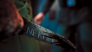 Nekome: Nazi Hunter screenshot 4