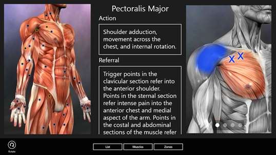 Muscle Trigger Points screenshot 5