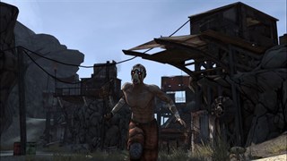 Borderlands screenshot 5