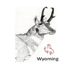TagIt WY Antelope