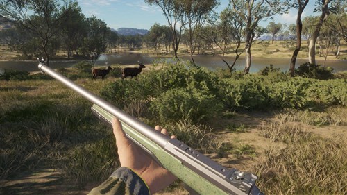 theHunter: Call of the Wild™ - Emerald Coast Australia