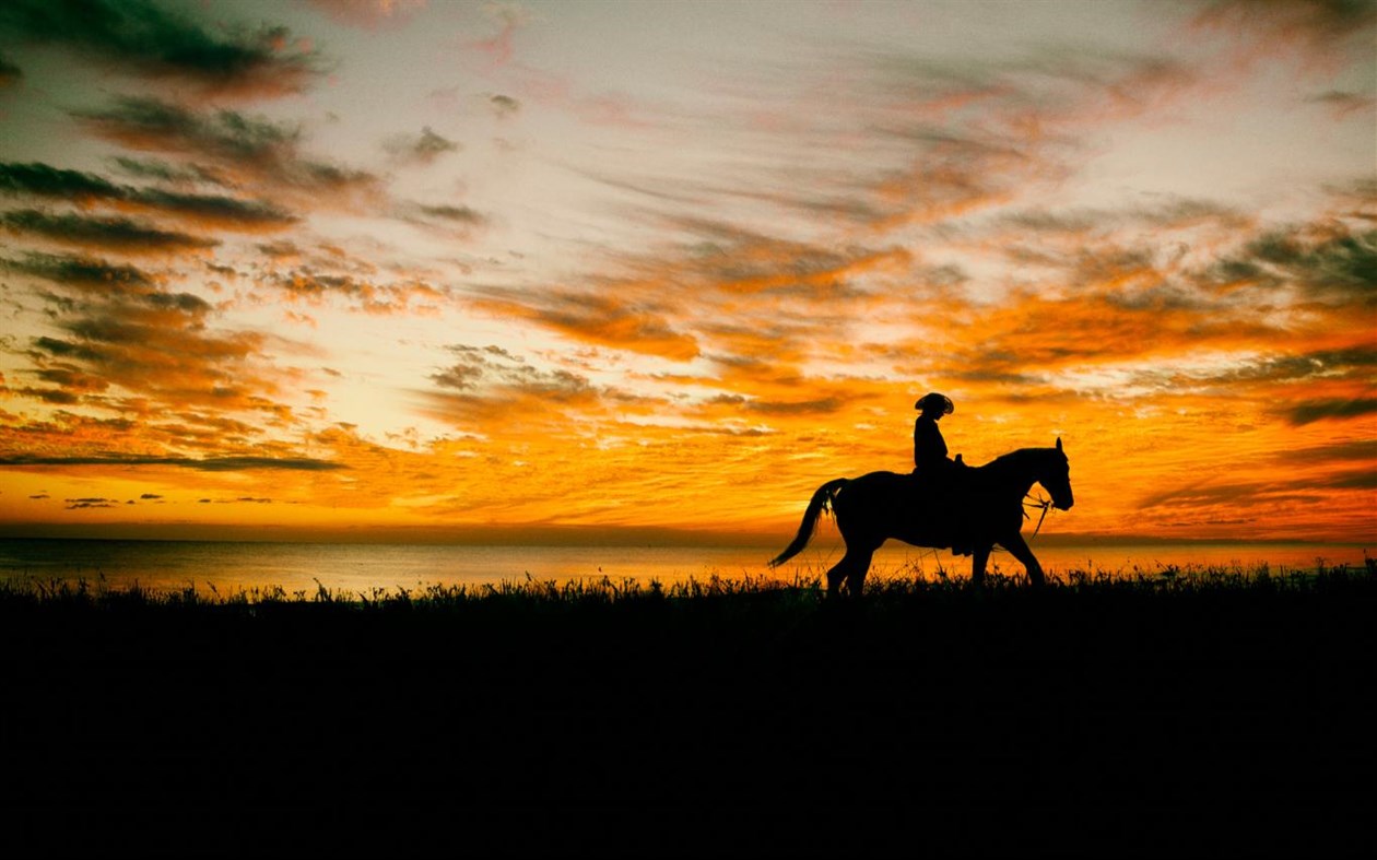 #4. Ranch Hands (Windows) 由: Microsoft Corporation