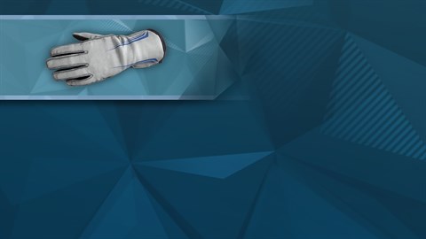 F1® 2019: Gloves 'Sci-Fi'