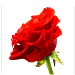 Descargar Guia da Conquista