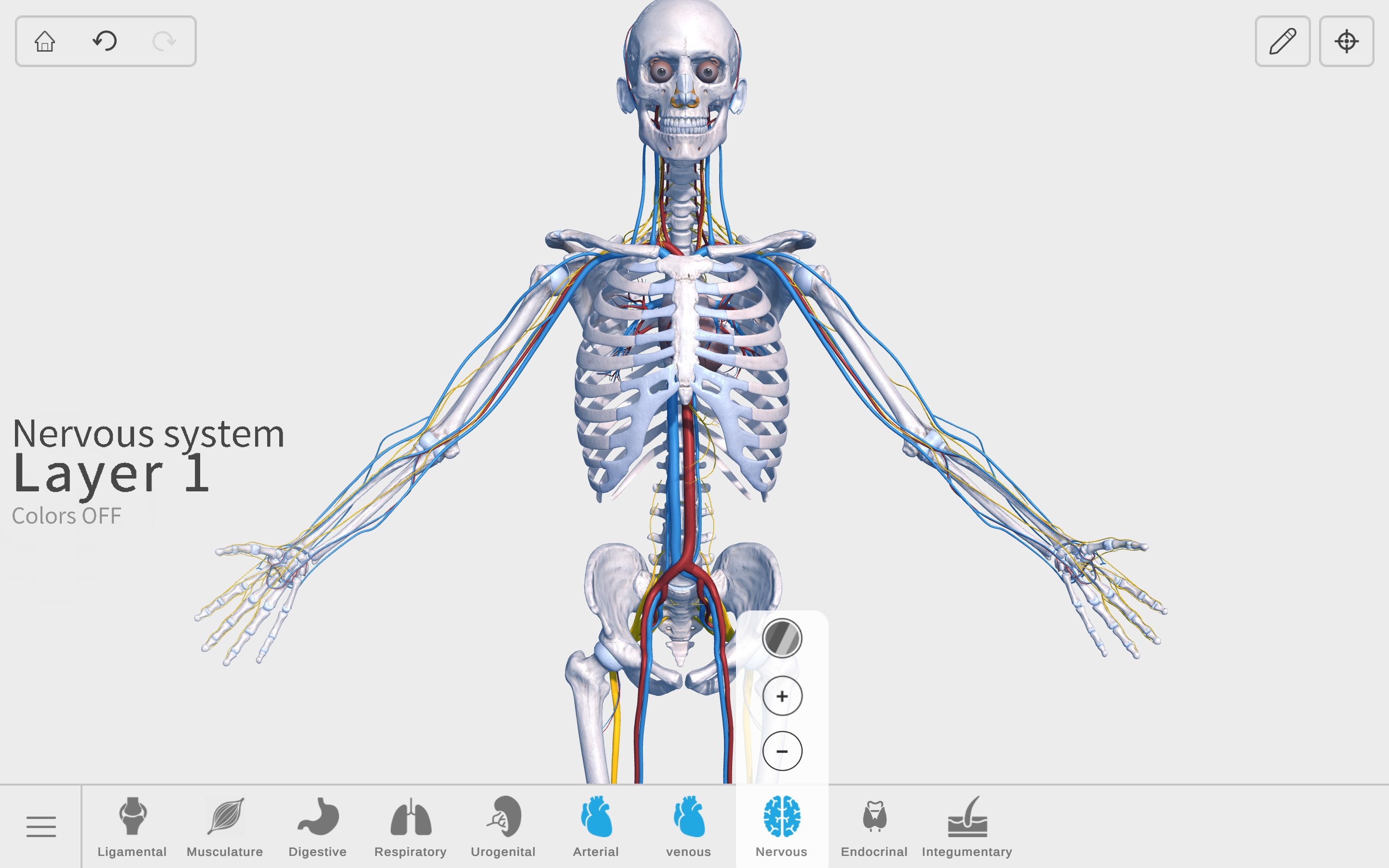 Visual Anatomy 3D - Human screenshot