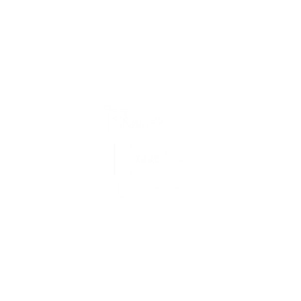 Easy MP4 To MP3 Converter