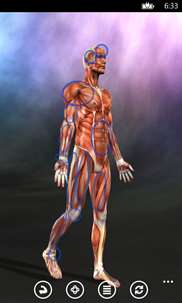 Muscle Trigger Points Anatomy screenshot 5