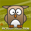 Pictura Collection