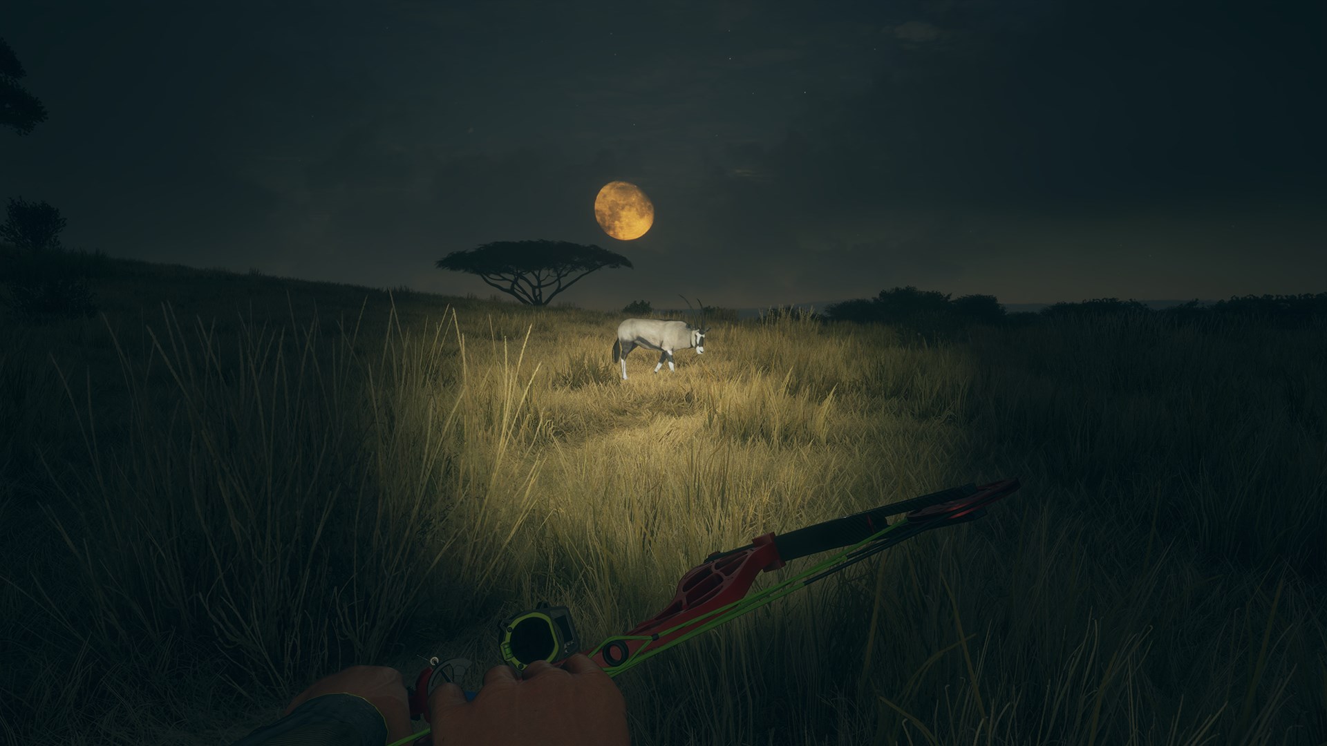 Thehunter call of the wild steam фото 98