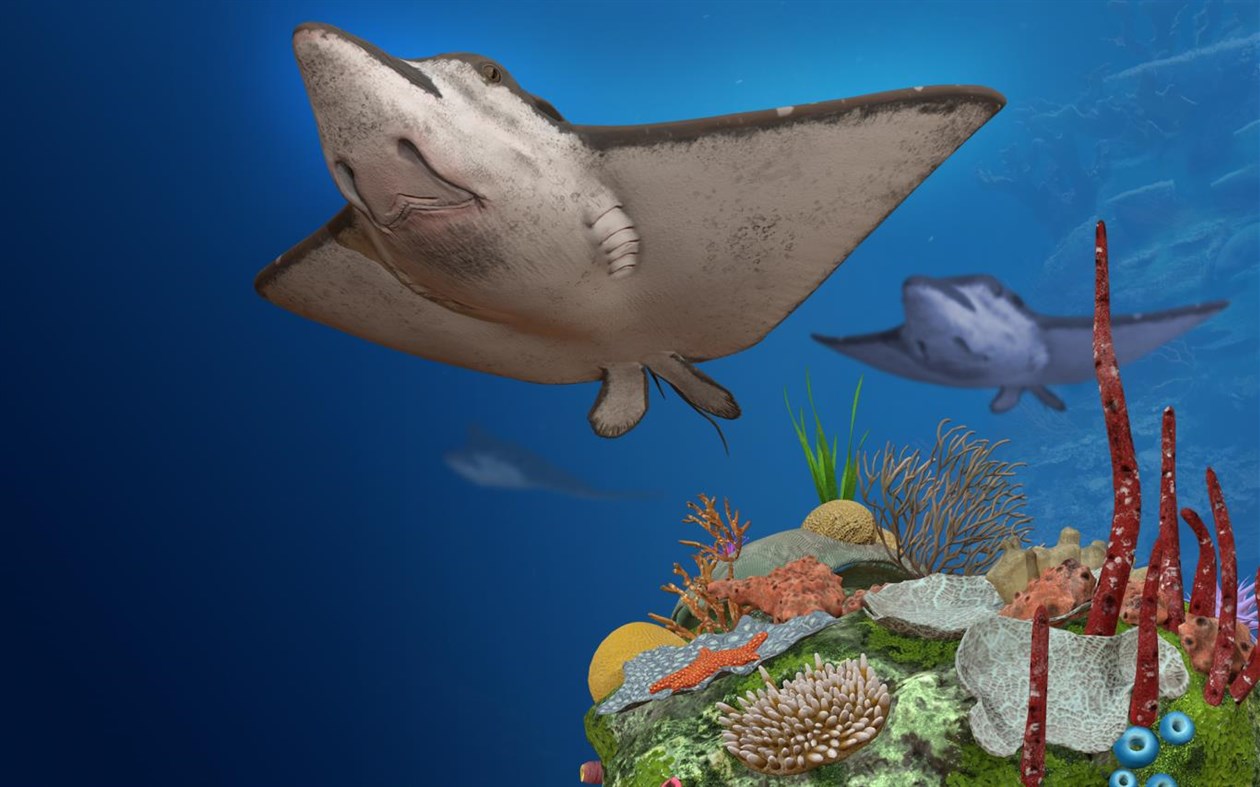 #1. Remix 3D Ocean Life (Windows) Podle: Microsoft Corporation